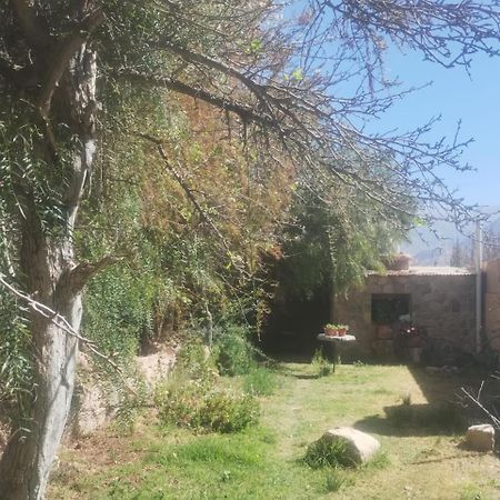 فندق تيلكارافي  La Casita المظهر الخارجي الصورة