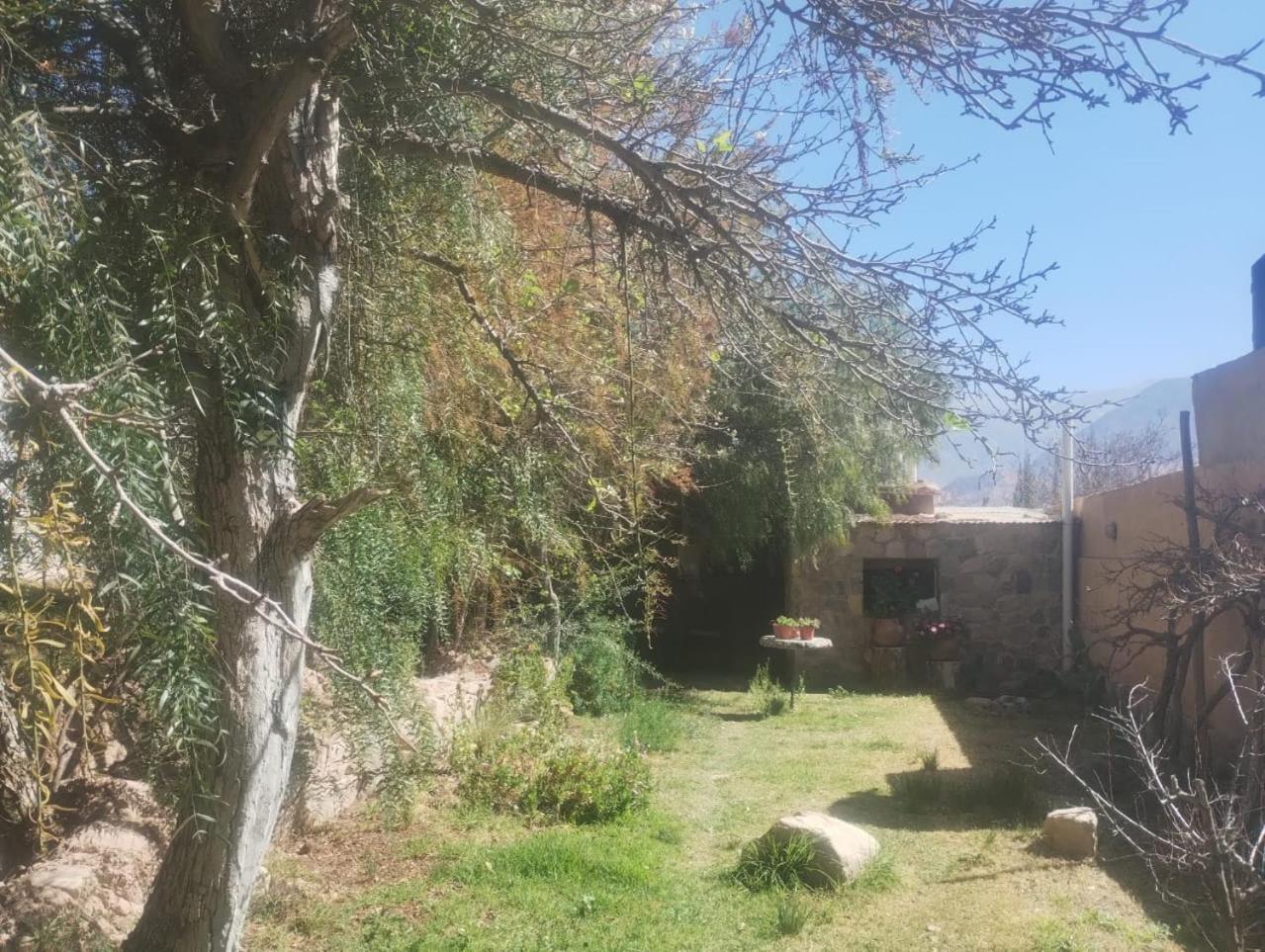 فندق تيلكارافي  La Casita المظهر الخارجي الصورة