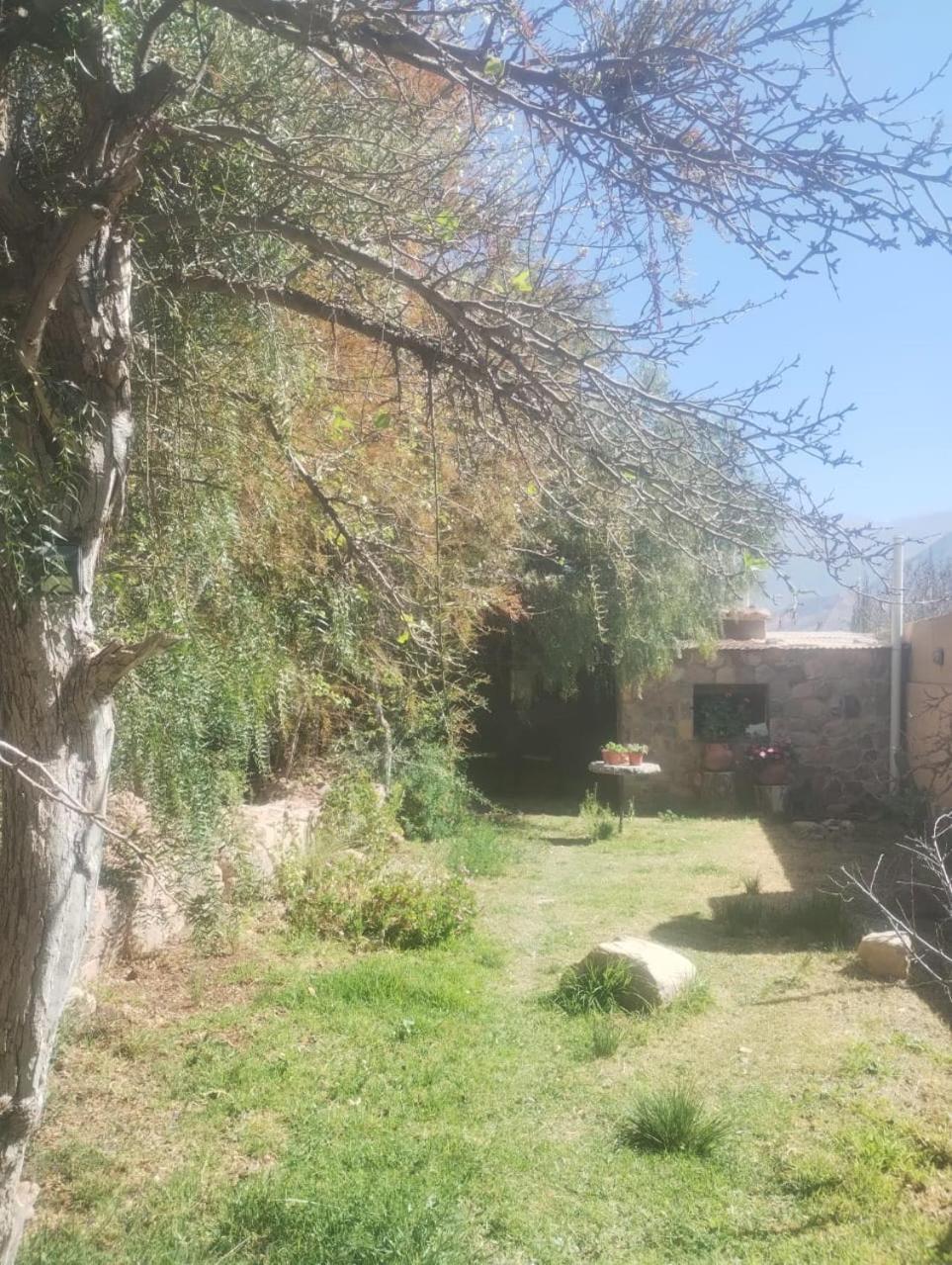 فندق تيلكارافي  La Casita المظهر الخارجي الصورة