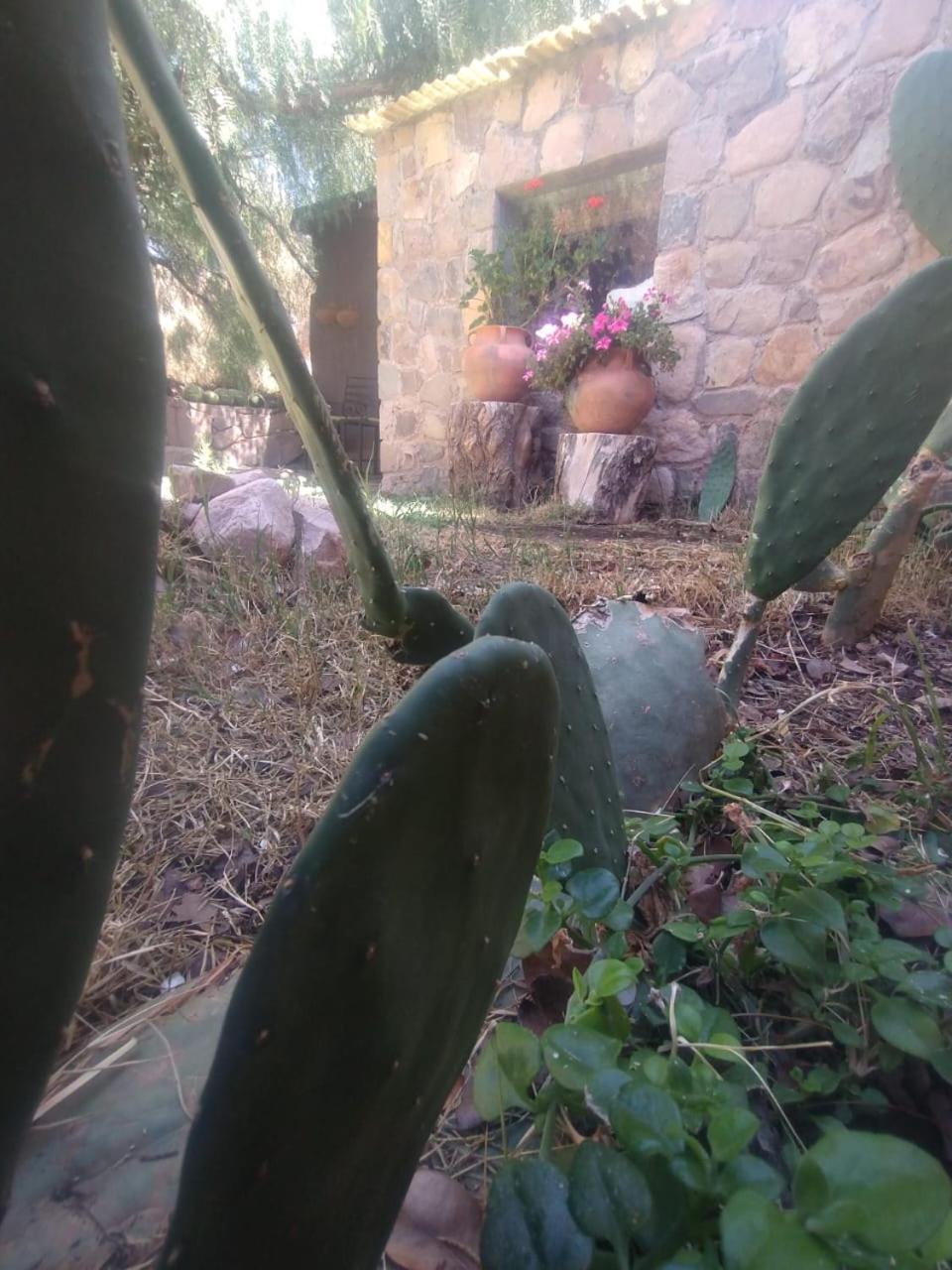 فندق تيلكارافي  La Casita المظهر الخارجي الصورة