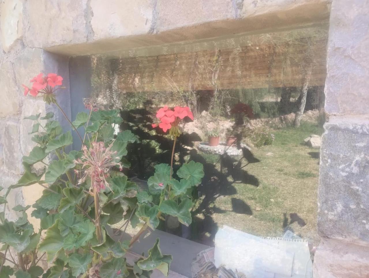 فندق تيلكارافي  La Casita المظهر الخارجي الصورة