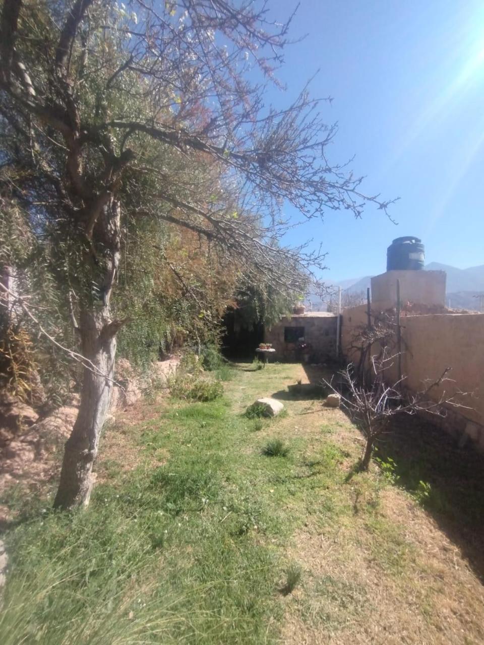 فندق تيلكارافي  La Casita المظهر الخارجي الصورة
