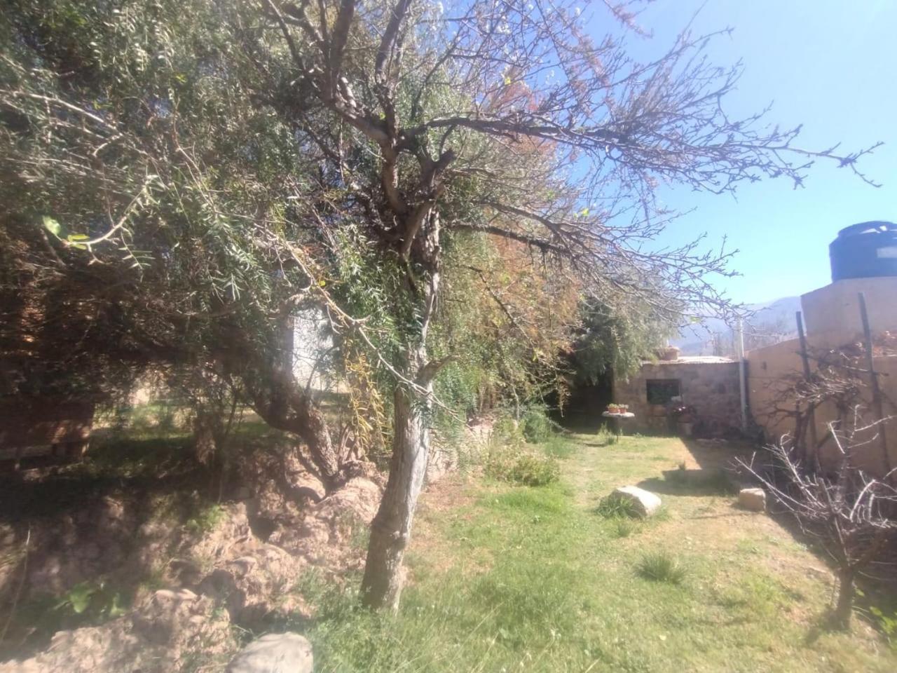 فندق تيلكارافي  La Casita المظهر الخارجي الصورة