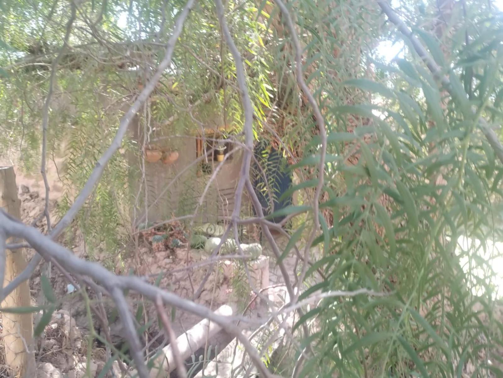 فندق تيلكارافي  La Casita المظهر الخارجي الصورة