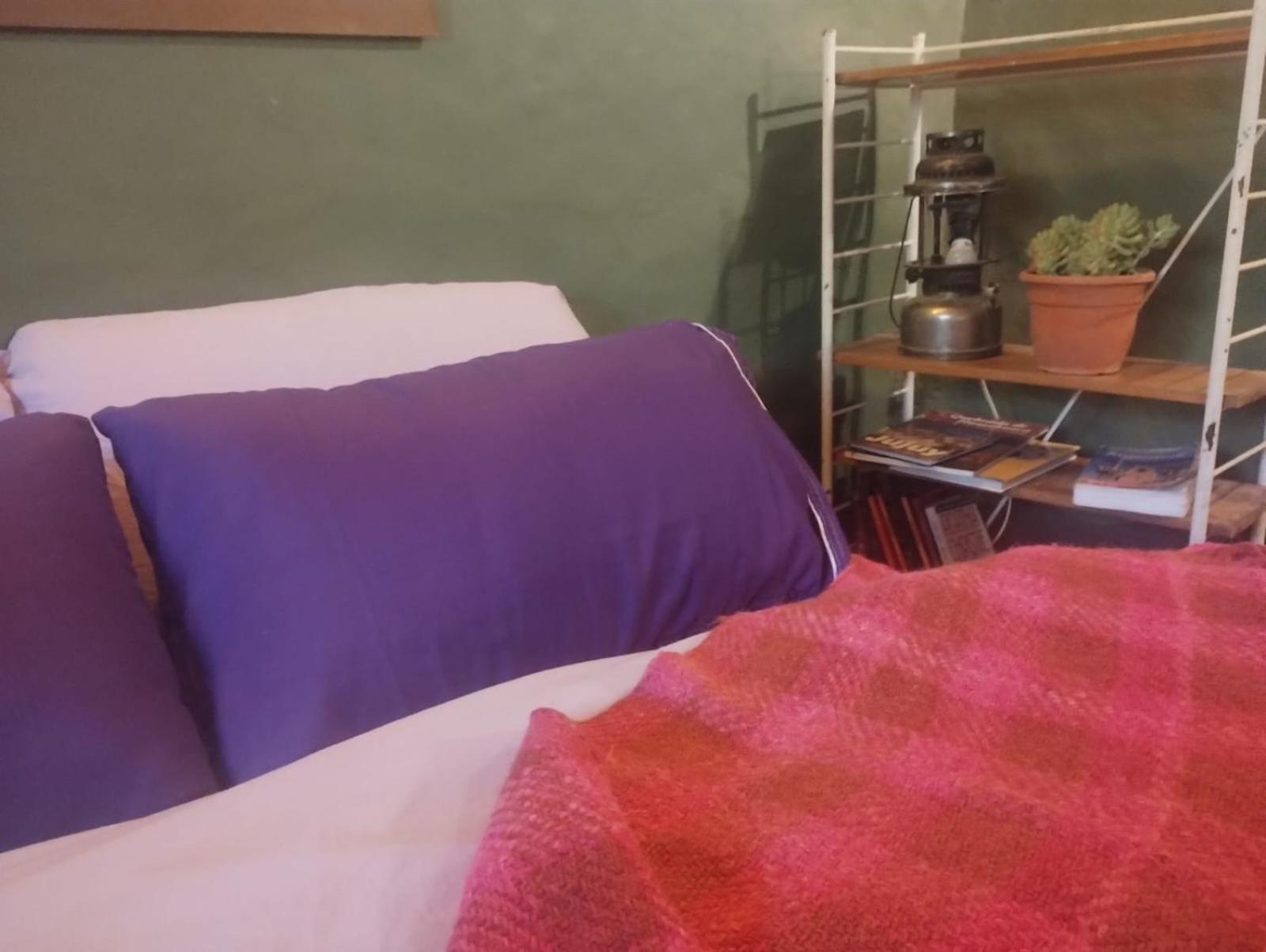 فندق تيلكارافي  La Casita المظهر الخارجي الصورة