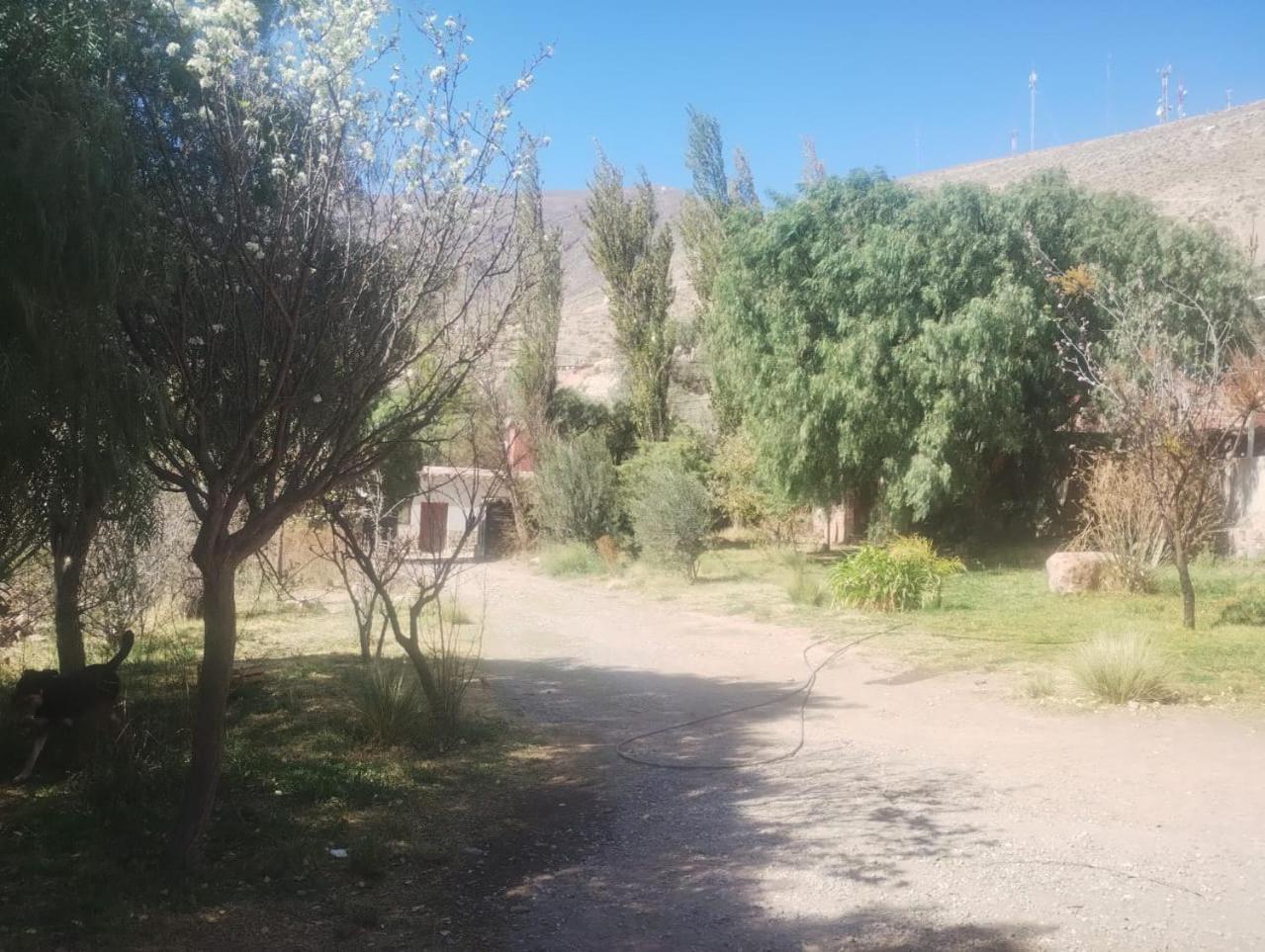 فندق تيلكارافي  La Casita المظهر الخارجي الصورة